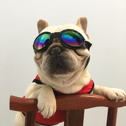 Stylish UV Protection Dog Shades - Adjustable Head Strap, Scratch-Resistant Lenses, Safe and Fashionable Eye Care for Pets - Ideal for Outdoor Activities and Travel