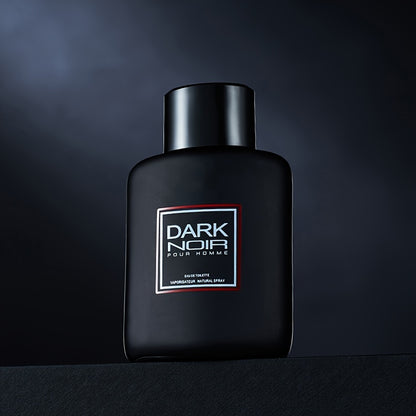 100ml Long-Lasting Fougere Notes Eau De Toilette Spray for Men, Refreshing Perfume for Dating & Daily Life, Perfect Gift for Him on Father's Day